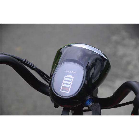 Medical Rapid 110 PRO 4 Elektrický čtyřkolový skútr Medical Rapid 110 PRO foto